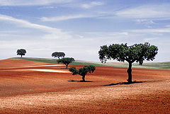 фото "En Alentejo"