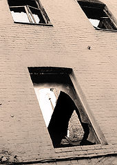 photo "windows"
