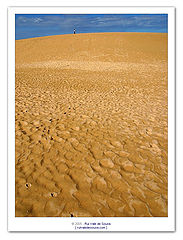 фото "sandman (berenice)"