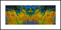 photo "Glimpse of the Fairy King (double vision)"