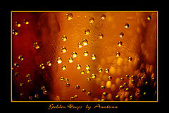 фото "Golden drops"