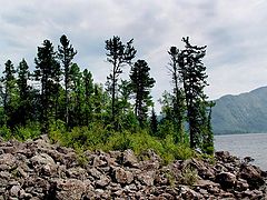 фото "высоко над уровнем моря"