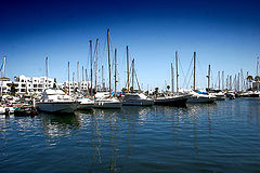 photo "Untitled photo"