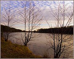 photo "Untitled photo"