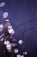 фото "Tension"