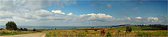 photo "July midday"