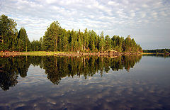 photo "Mirror"