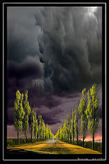 photo "30 AVGUST"
