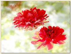 photo "life course"