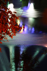 photo "The Bridge"