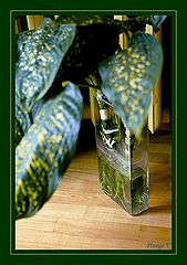 фото "..."