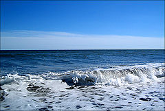 photo "Language of the Pacific"