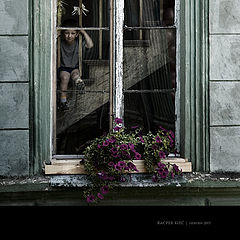 фото "..."