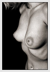 фото "Female Shapes"