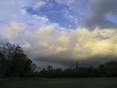 photo "Color"