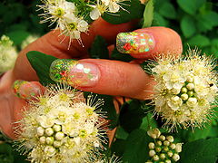 photo "Nails of the summer's last day"