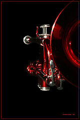photo "redhorn"