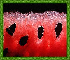 фото "Sweet and cool"