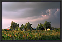 photo "Rural etude"