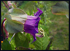 photo "Call to me, call :)))"