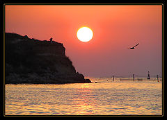 photo "Decline (for Silvia :-))"