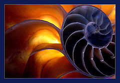 фото "windows of the soul..."
