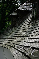 photo "schadows on the roof"