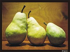 фото "Family"