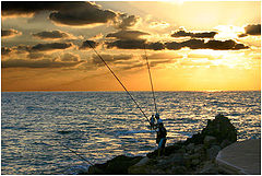 photo "The fishing in the sunset"