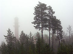 photo "Mosque in mist"