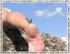 photo "Unity with nature"