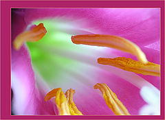 photo "Light from depth"