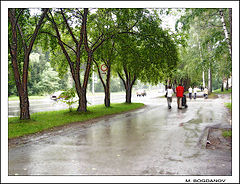 photo "After the rain"