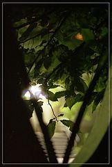 фото "окно"