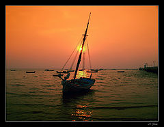photo "Arrested by the light"