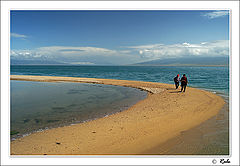 photo "qinghai lake"