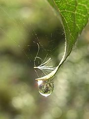 photo "Untitled photo"