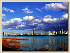 photo "Blue..."