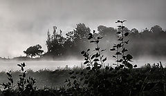 photo "morning fog burns off"