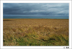 photo "autumn"