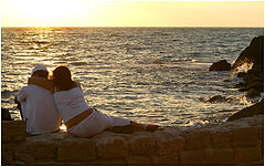 photo "Together"