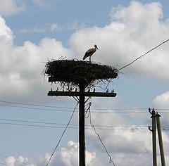 photo "Post ? 1"