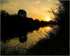 photo "Untitled photo"