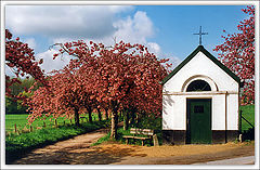 photo "NEERIJSE"