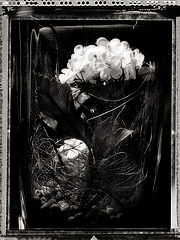 photo "Dead Poems"