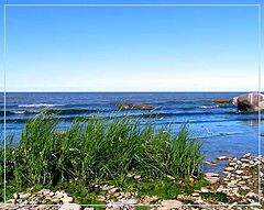 photo "Coast"