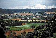 photo "Italy, Florence"