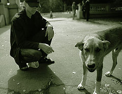photo "Yet Another Friend"