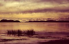 фото "Misty Morning (Titicaca Lake)"