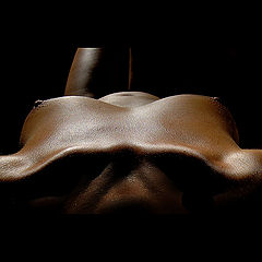 фото "Wishbone"